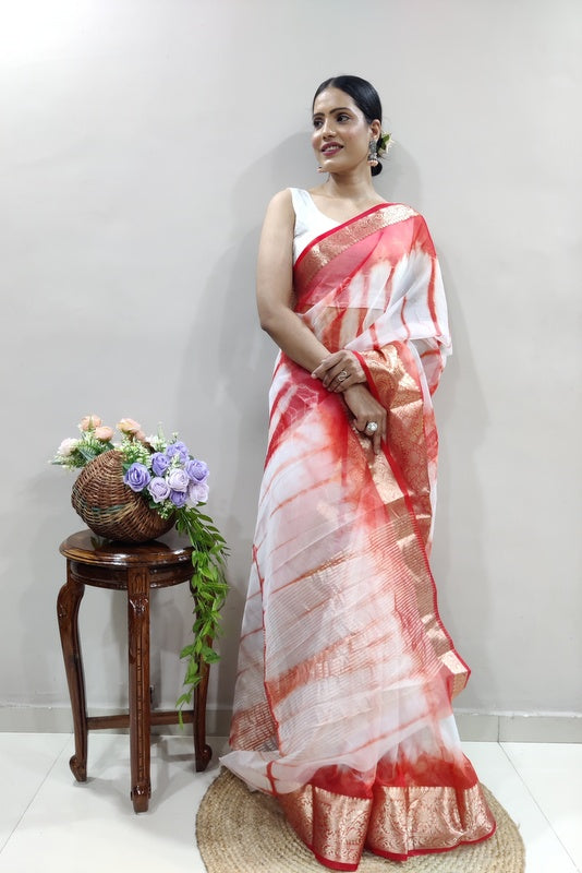 Organza Saree