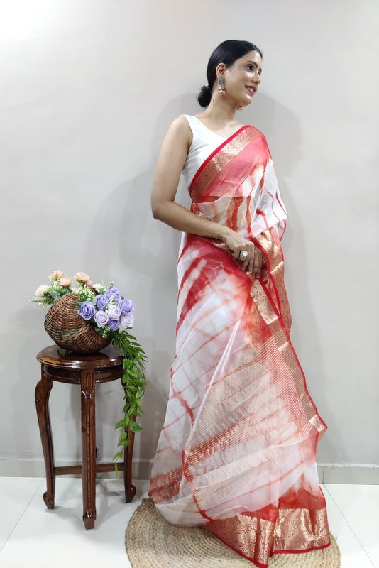 Organza Saree