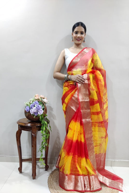 Organza Saree