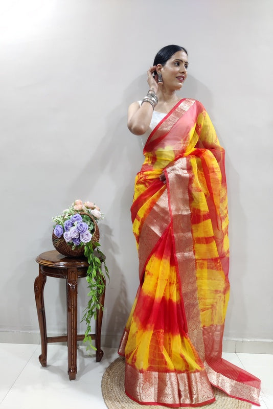 Organza Saree