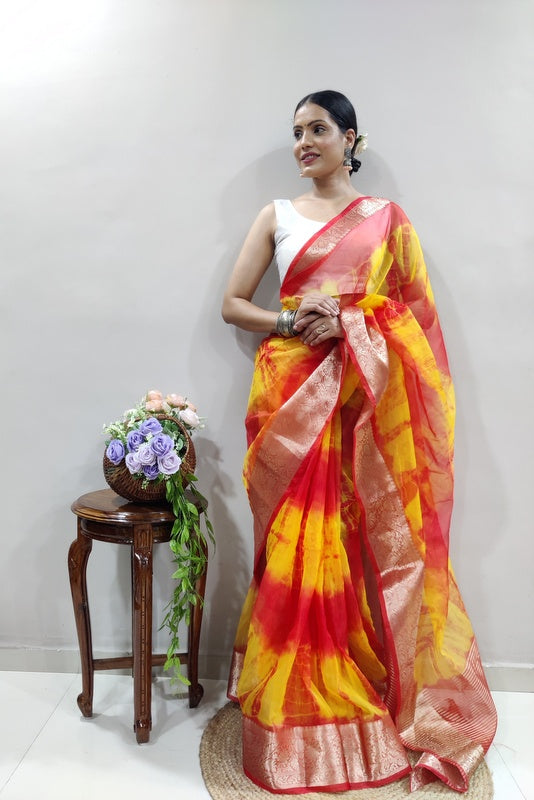 Organza Saree