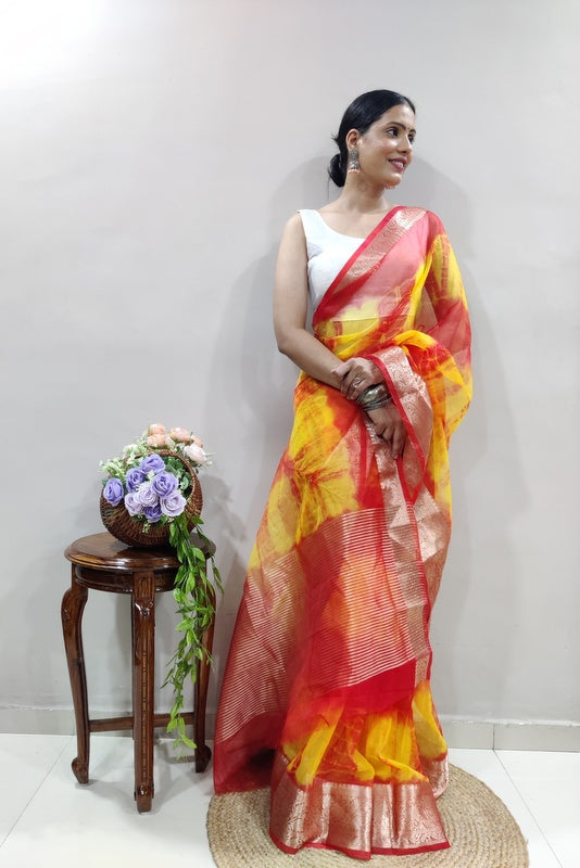 Organza Saree