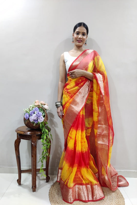 Organza Saree
