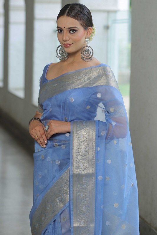 Organza Saree