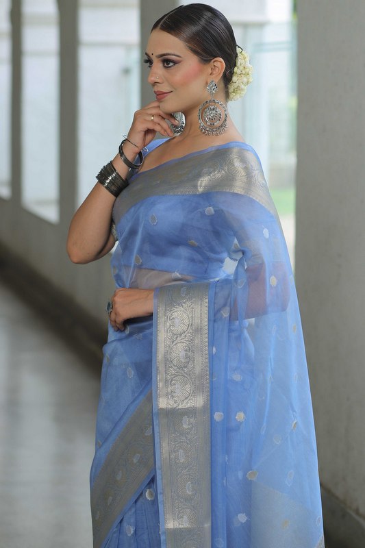 Organza Saree