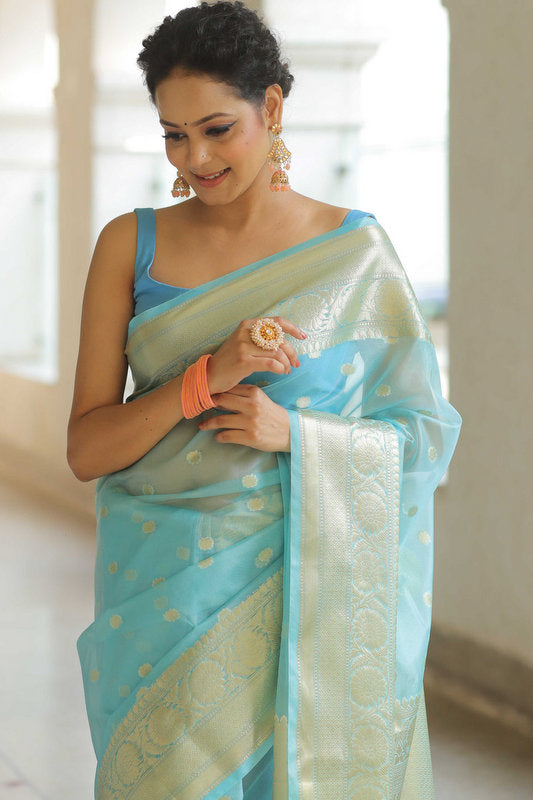 Organza Saree