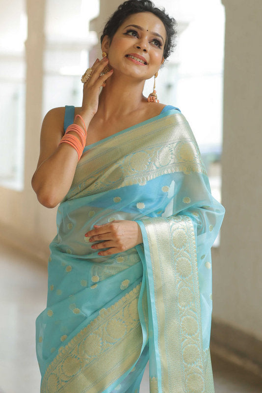Organza Saree