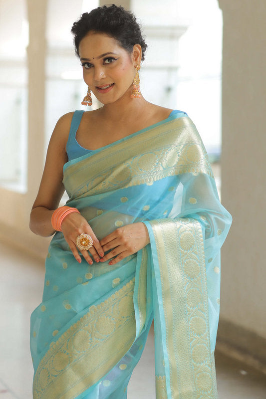 Organza Saree