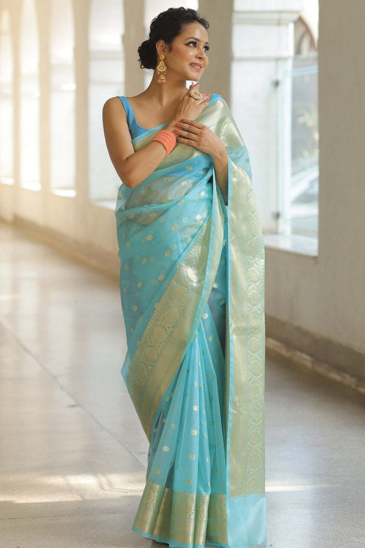 Organza Saree