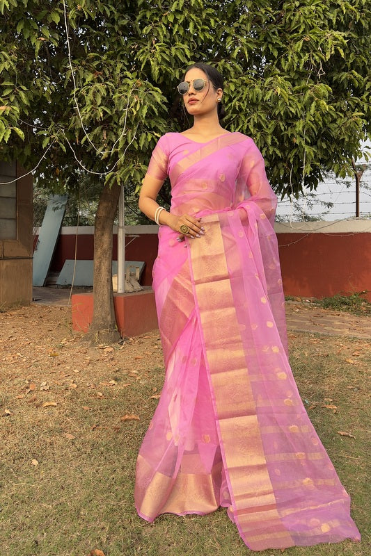 Organza Saree
