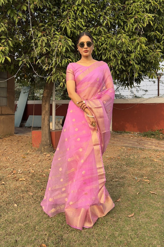 Organza Saree