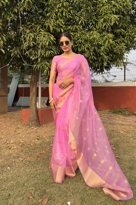 Organza Saree