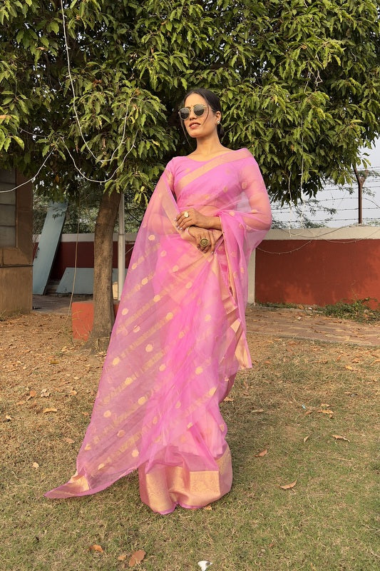 Organza Saree