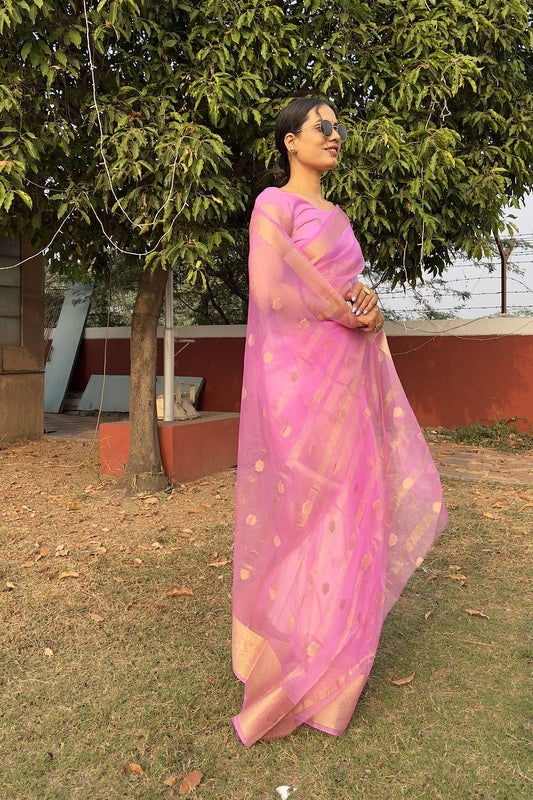 Organza Saree