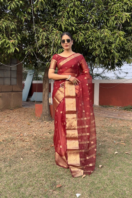 Organza Saree