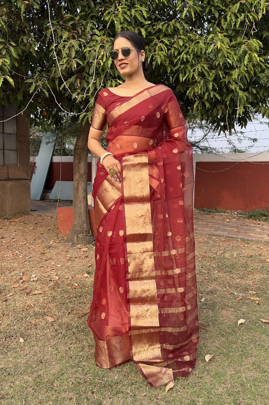Organza Saree