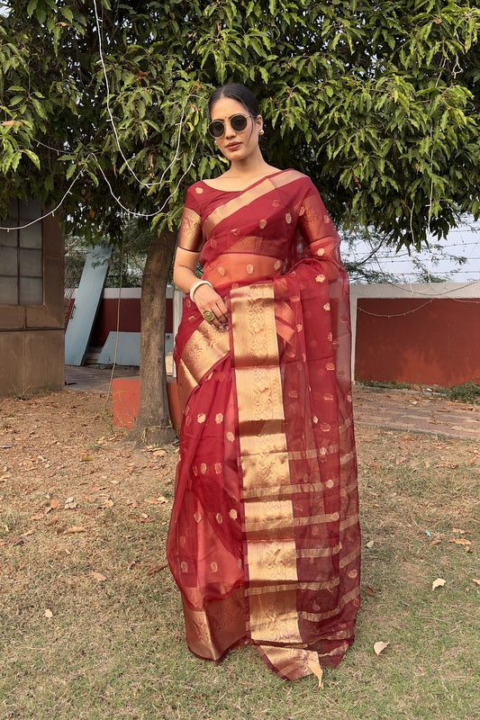Organza Saree