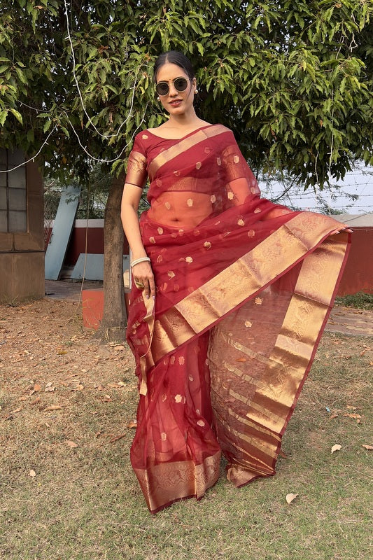 Organza Saree