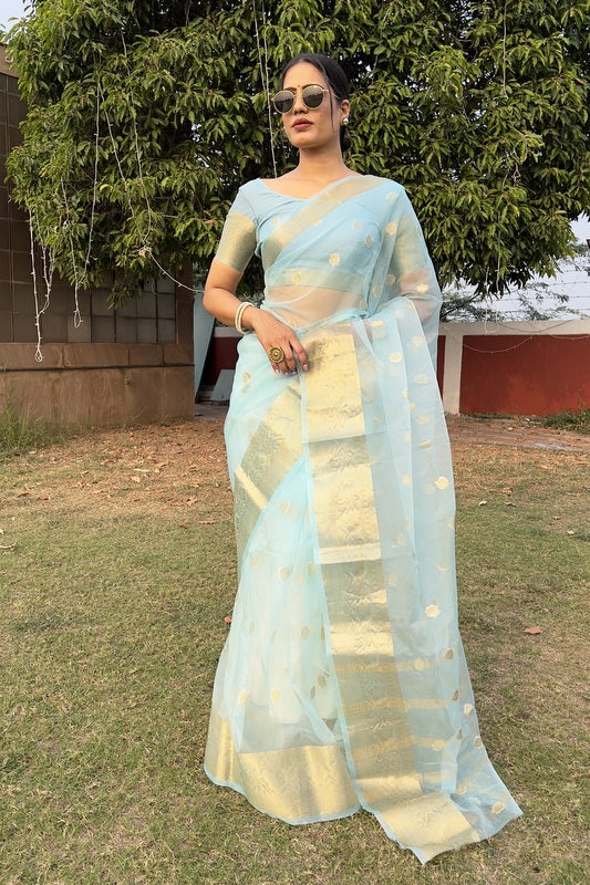 Organza Saree