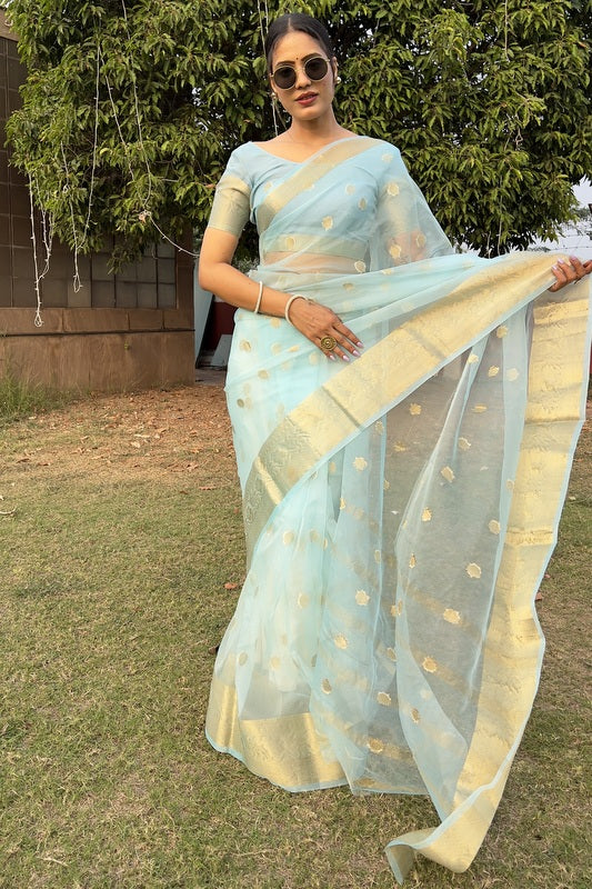 Organza Saree