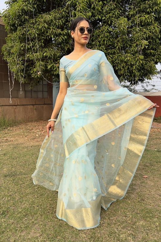 Organza Saree