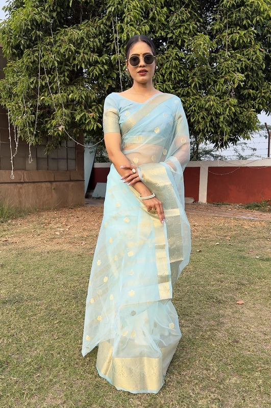 Organza Saree