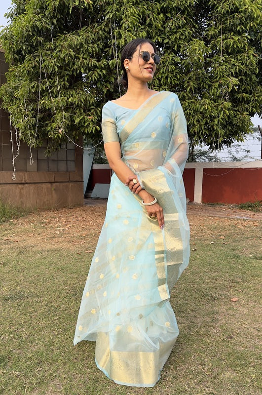 Organza Saree