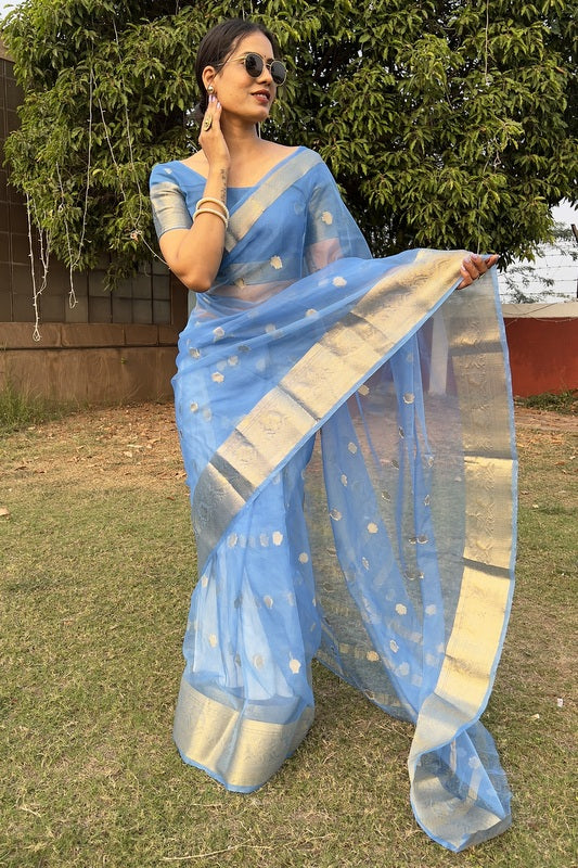 Organza Saree