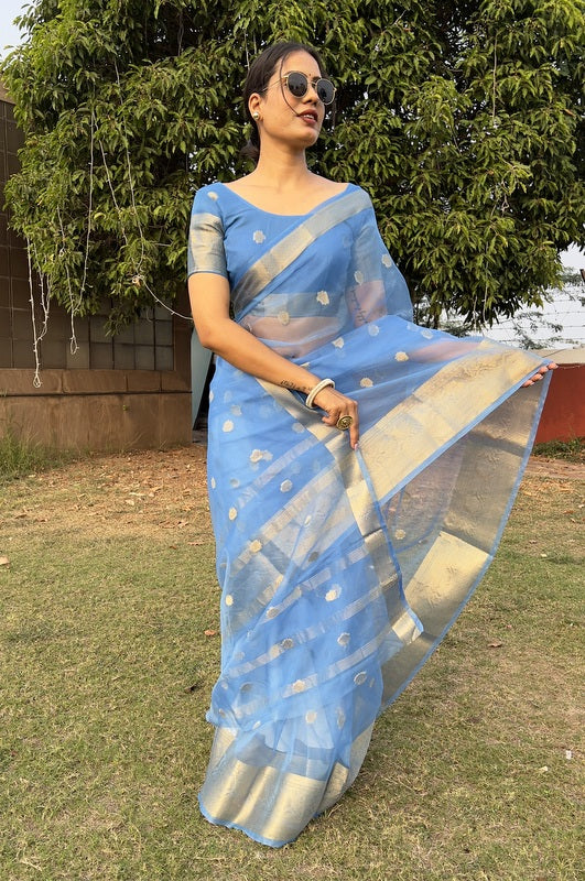 Organza Saree