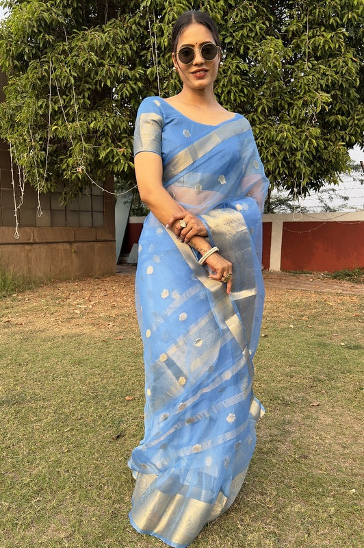 Organza Saree