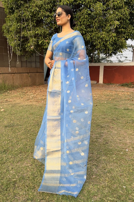 Organza Saree