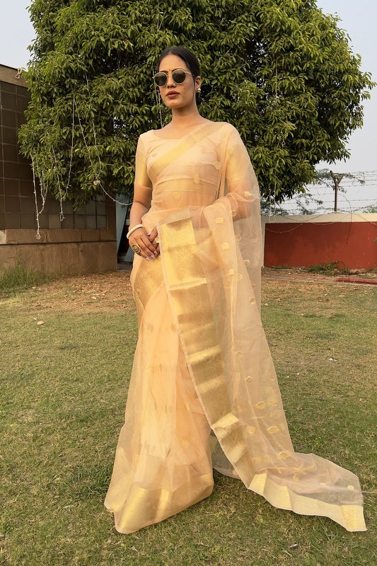 Organza Saree