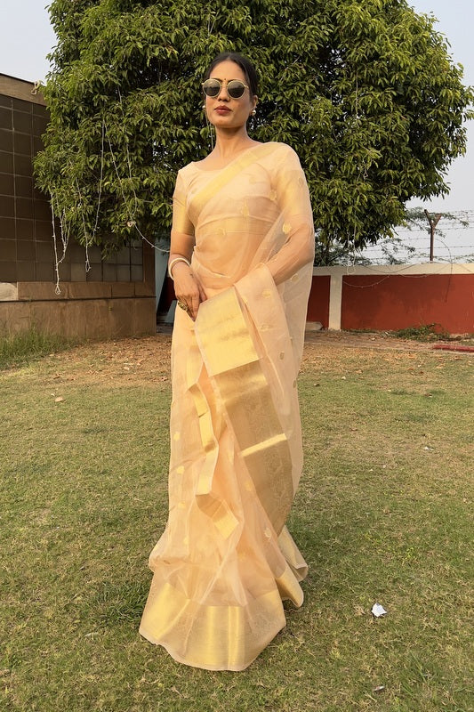 Organza Saree