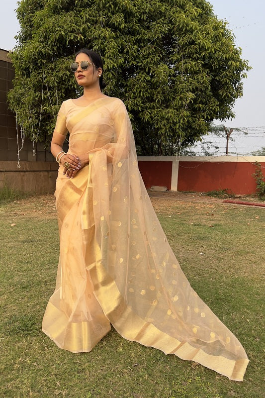 Organza Saree