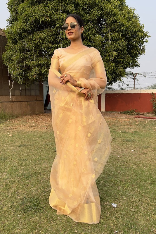 Organza Saree