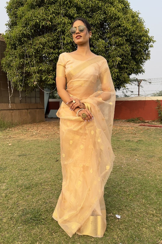 Organza Saree