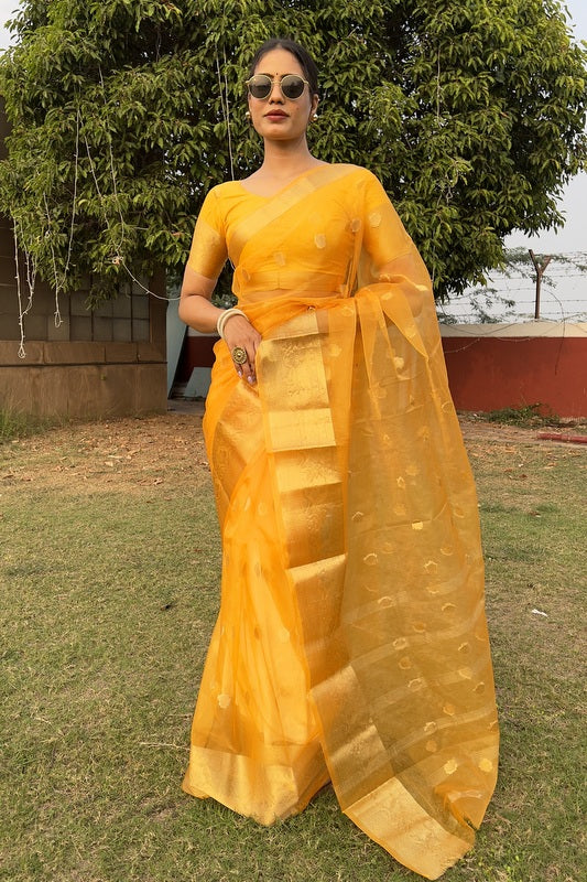 Organza Saree
