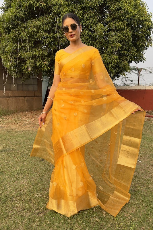 Organza Saree