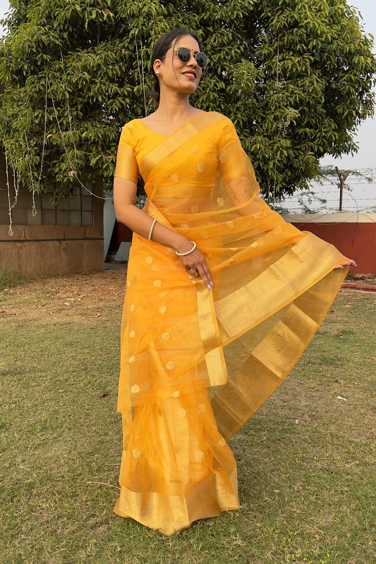 Organza Saree