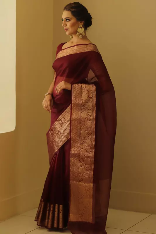Organza Saree