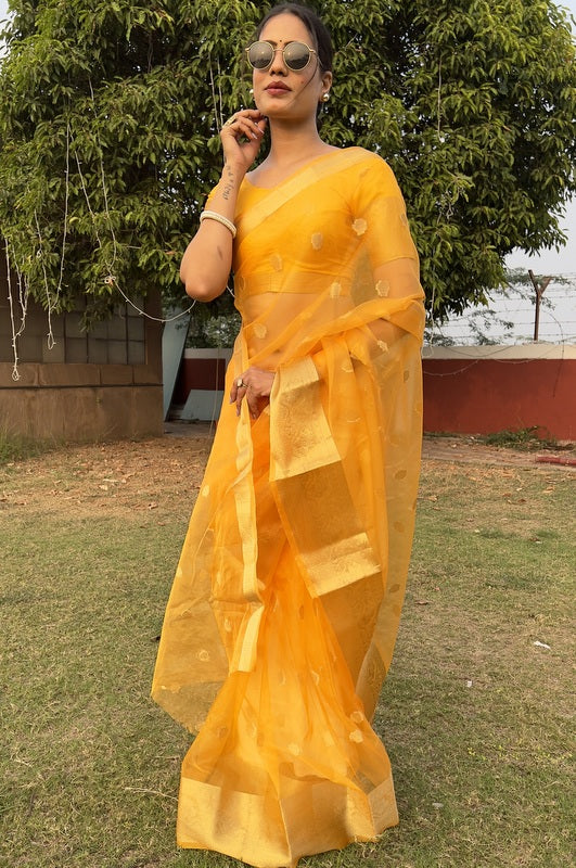 Organza Saree
