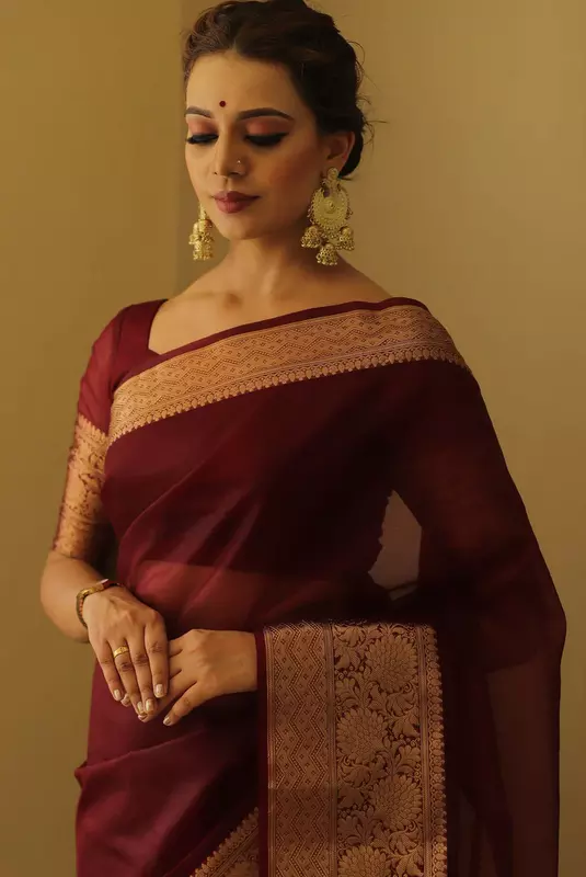Organza Saree