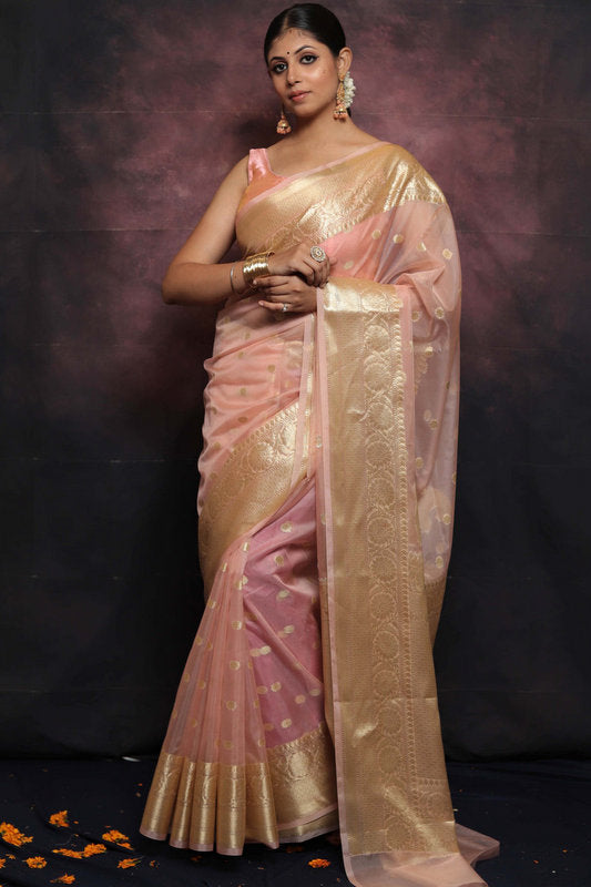 Organza Saree