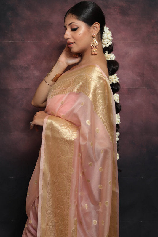 Organza Saree