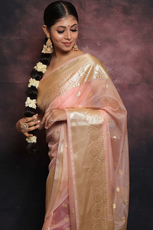 Organza Saree