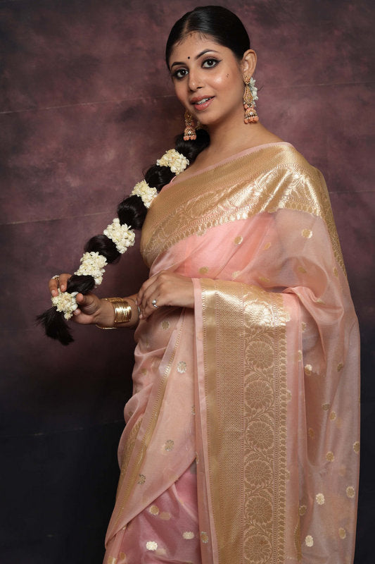 Organza Saree