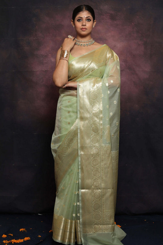 Organza Saree