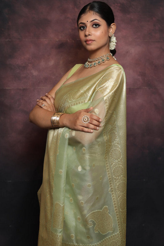 Organza Saree