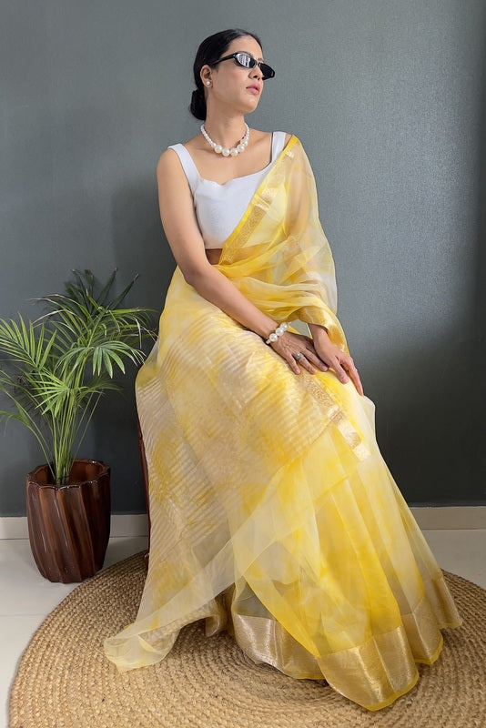 Organza Saree