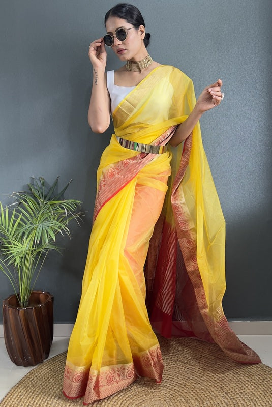 Organza Saree